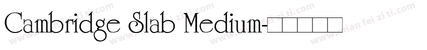Cambridge Slab Medium字体转换